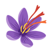Saffron