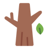 birch