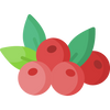 Berries