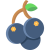 Blackcurrant