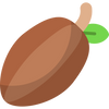 Cacao